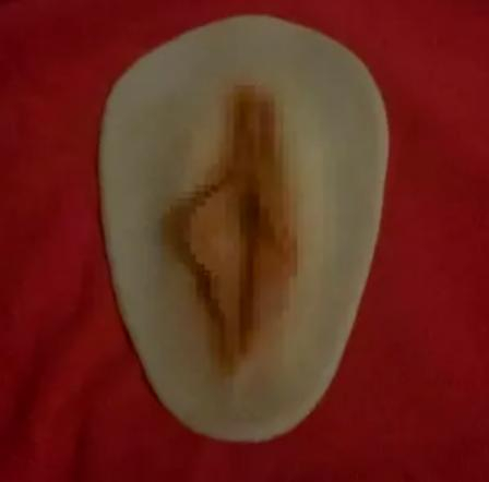 Silikon Muschiabdruck